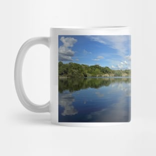 Newbold Quarry Park Mug